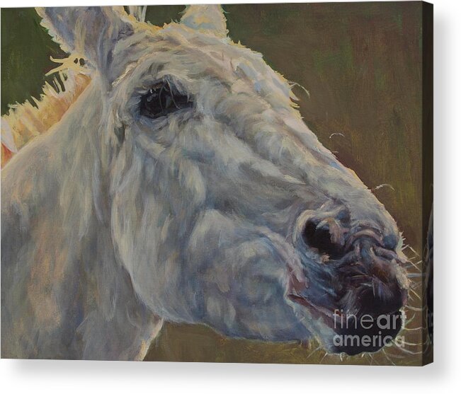 Horse Acrylic Print featuring the painting Eunice by Patricia A Griffin