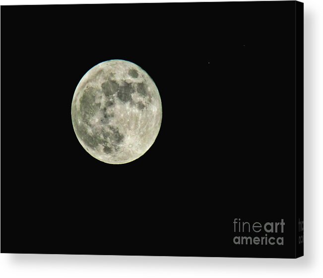 Nature Acrylic Print featuring the photograph Full Moon by Debbie Portwood