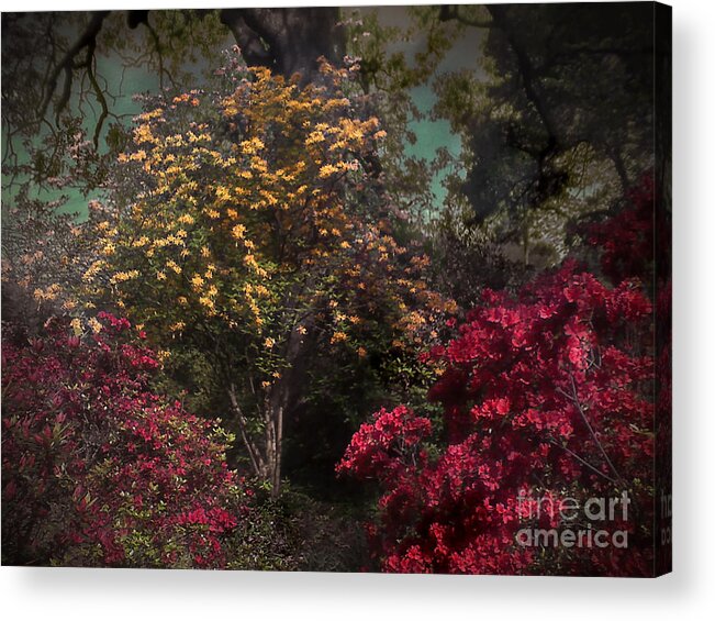 Germantown Acrylic Print featuring the photograph Garden of Eden by T Lowry Wilson