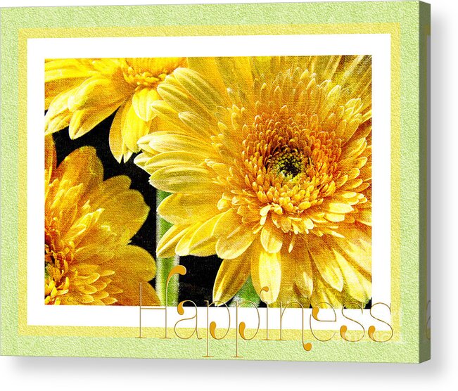 Gerber Acrylic Print featuring the photograph Gerber Daisy Happiness 6 by Andee Design