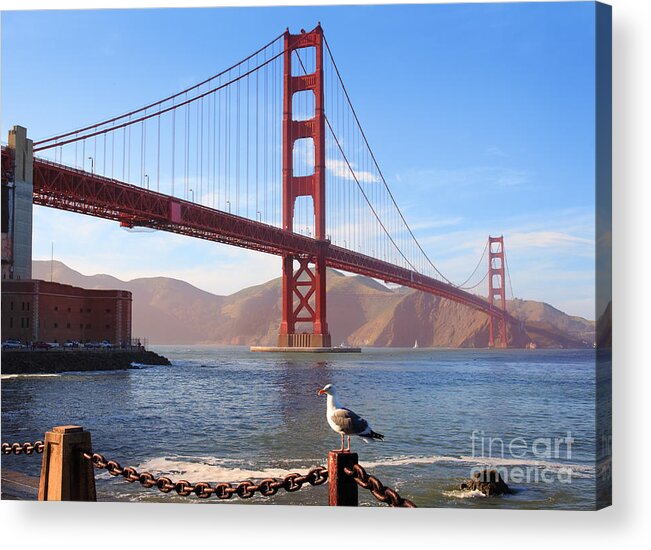 America Acrylic Print featuring the photograph Golden Gate Seagull by Inge Johnsson