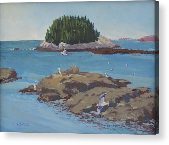 Gulls At Five Islands Acrylic Print featuring the painting Gulls at Five Islands - Art by Bill Tomsa by Bill Tomsa