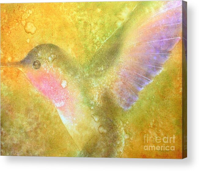 Watercolor Acrylic Print featuring the painting Harmony by Robert Hooper