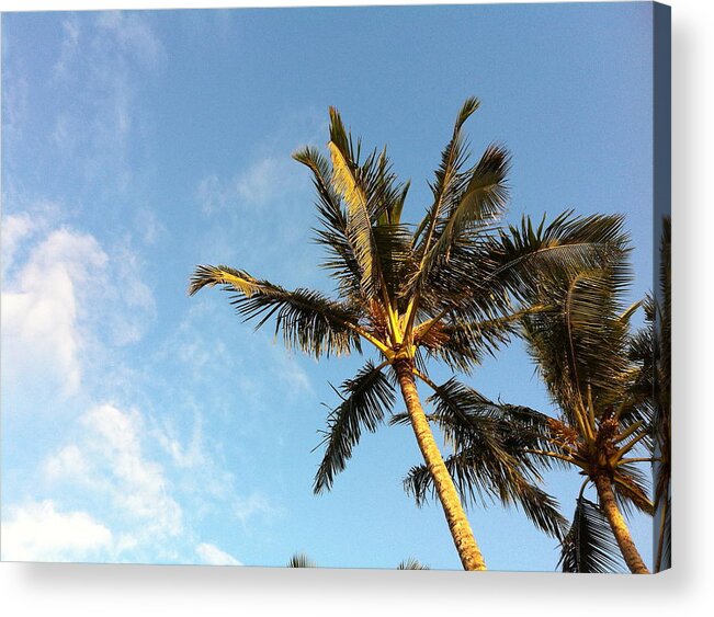 Sky Acrylic Print featuring the photograph Head in the Clouds by Angela Bushman