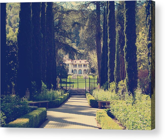 Montalvo Arts Center Acrylic Print featuring the photograph Hiding in the Garden by Laurie Search