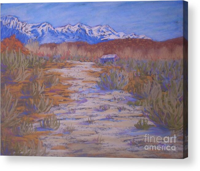 Landscape Acrylic Print featuring the painting High Sierras Dry Wash by Suzanne McKay
