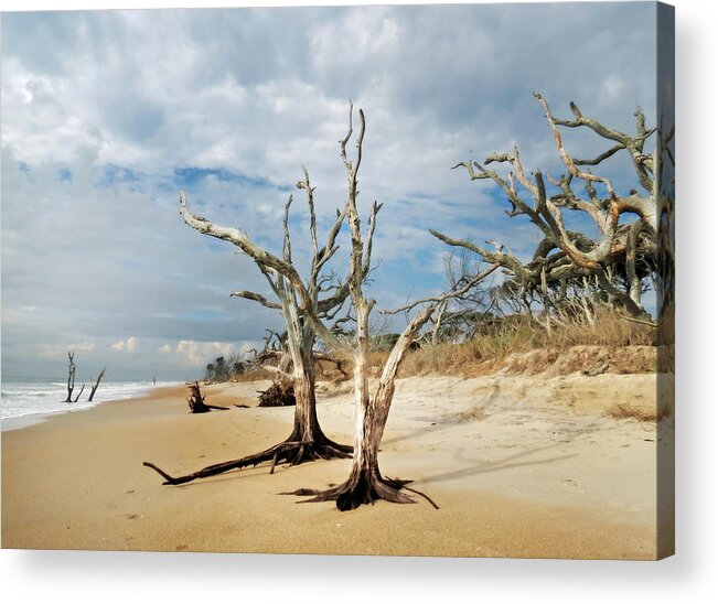 Landscape Acrylic Print featuring the photograph Hobcaw Boneyard Beach by Deborah Smith