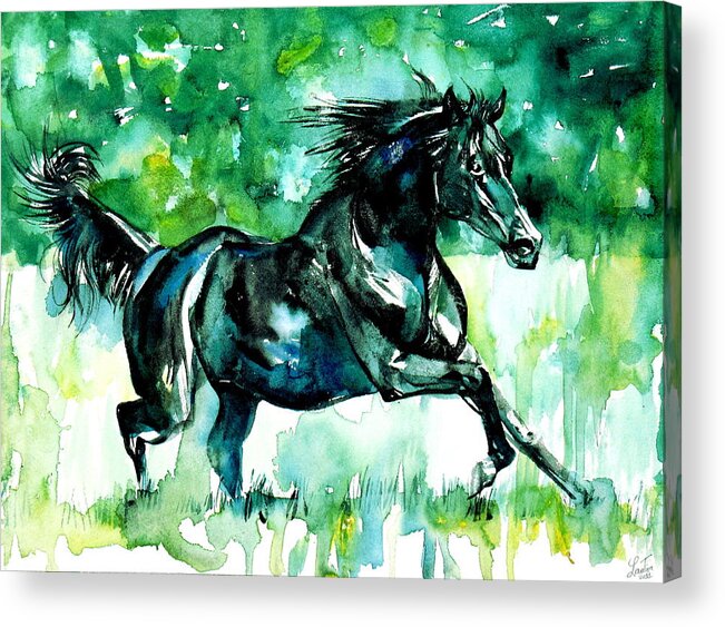 Horse Acrylic Print featuring the painting Horse Painting.42 by Fabrizio Cassetta