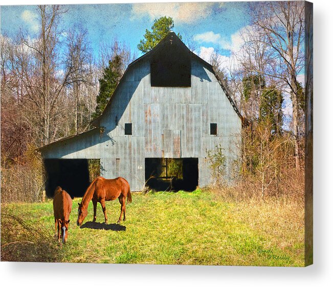 Barn Acrylic Print featuring the photograph Horses Call This Old Barn Home by Sandi OReilly