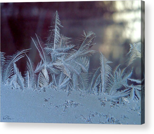 Ice Acrylic Print featuring the photograph Ice Crystals of Winter by Nancy Griswold