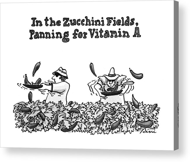 Nutrition Acrylic Print featuring the drawing In The Zucchini Fields by J.P. Rini