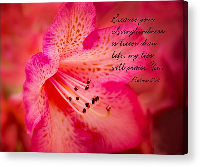 Flower Acrylic Print featuring the photograph Inspirational Rhododendron by Mary Jo Allen