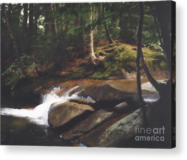 Landscape Acrylic Print featuring the digital art Into the Woods by Jack Ader