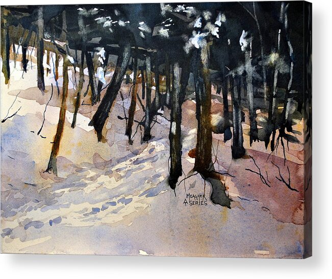 Appalachian Trail Acrylic Print featuring the painting Into The Woods by Spencer Meagher