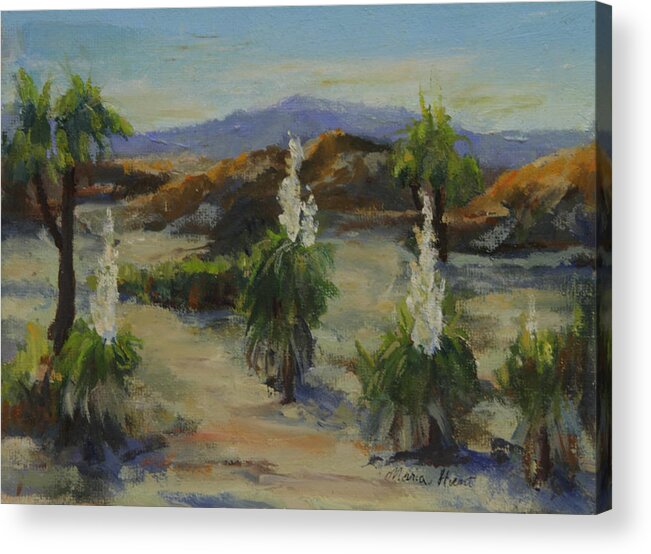 Joshua Tree Acrylic Print featuring the painting Joshua Tree in bloom by Maria Hunt