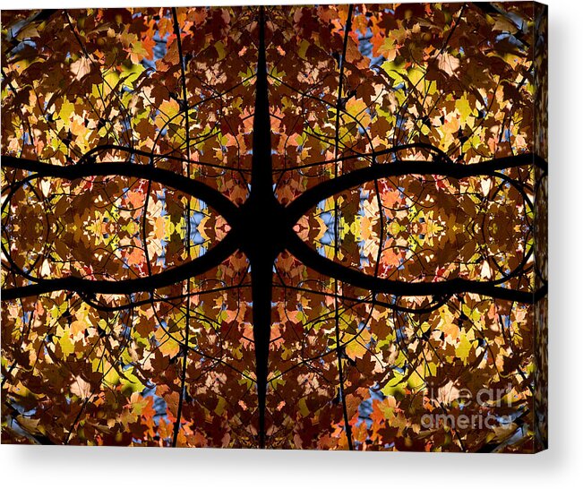 Kaleidoscope Acrylic Print featuring the photograph Kaleidoscope by Steven Ralser