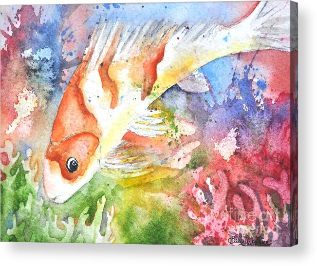 Koi Acrylic Print featuring the painting Koi Fish by Sally Tiska Rice