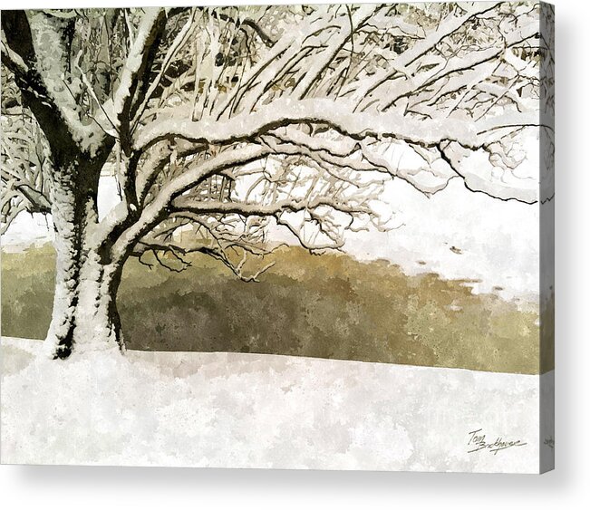 Snow Acrylic Print featuring the photograph Late March Snow by Tom Brickhouse