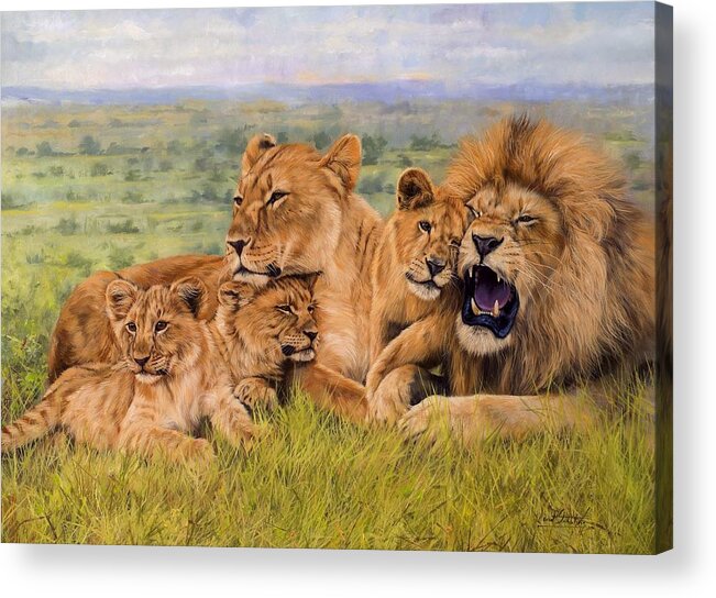 Lion Acrylic Print featuring the painting Lion Family by David Stribbling
