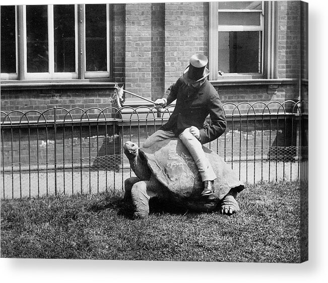 Lionel Rothschild Acrylic Print featuring the photograph Lionel Rothschild by Natural History Museum, London/science Photo Library