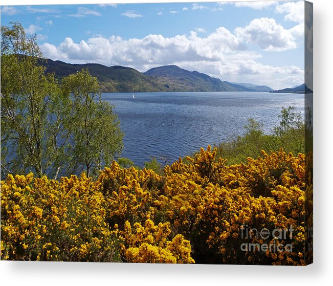 Loch Ness Acrylic Print featuring the photograph Loch Ness - Springtime by Phil Banks
