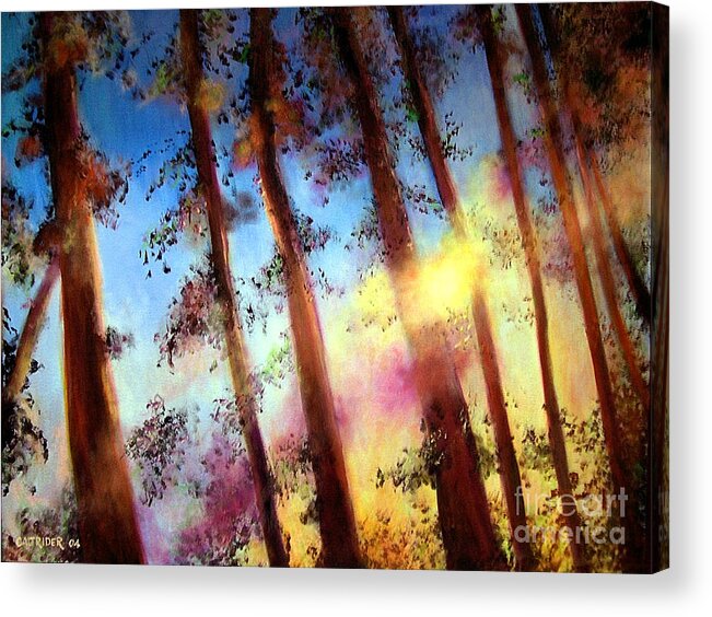 Trees Acrylic Print featuring the painting Looking Through the Trees by Alison Caltrider