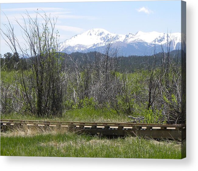 Berg Acrylic Print featuring the photograph Lake Manitou SP Woodland Park CO #2 by Margarethe Binkley