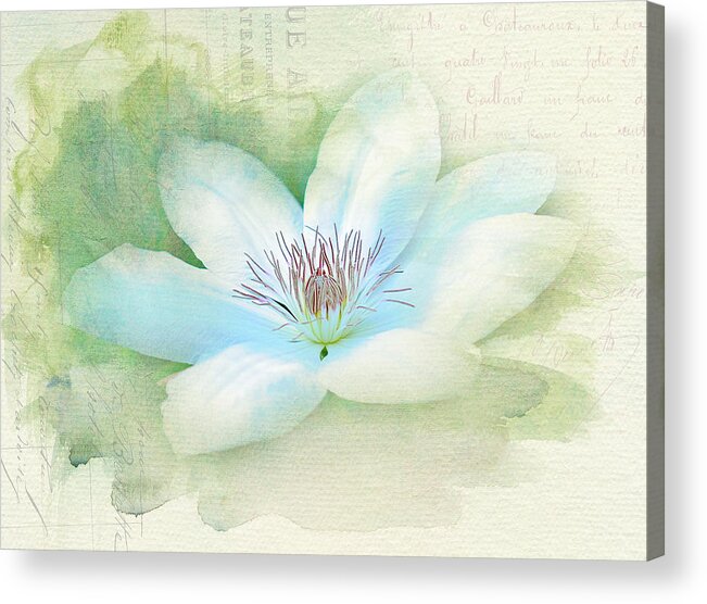White Clematis Acrylic Print featuring the photograph Marie Antoinette by Melinda Dreyer