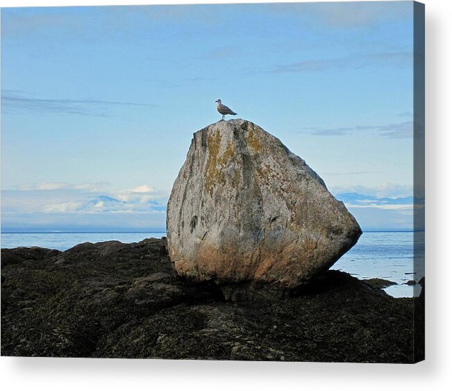 Seascape Acrylic Print featuring the photograph Meditation by Kate Gibson Oswald