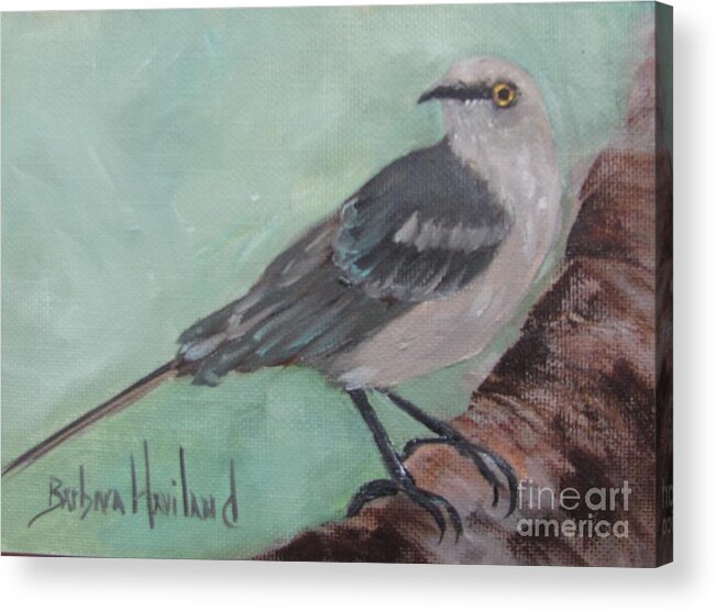 Bird Series Acrylic Print featuring the painting Mockingbird by Barbara Haviland