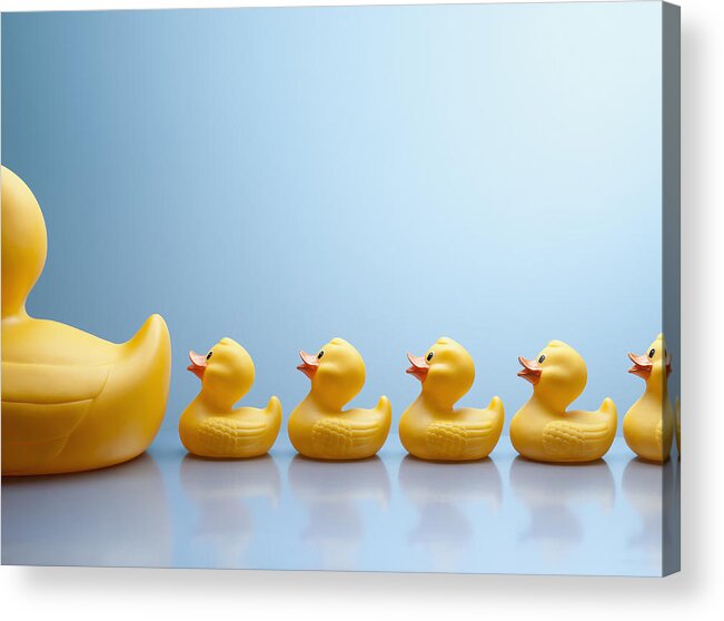 Following Acrylic Print featuring the photograph Mother rubber duck leading several rubber ducklings by Andy Roberts