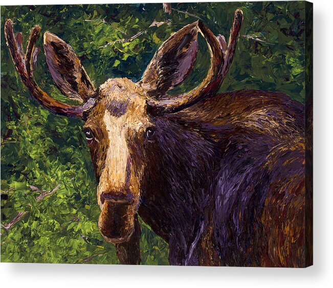 Moose Acrylic Print featuring the painting Loose Moose by Mary Giacomini