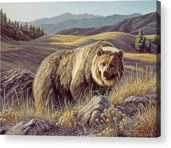 Wildlife Acrylic Print featuring the painting No Contest by Paul Krapf