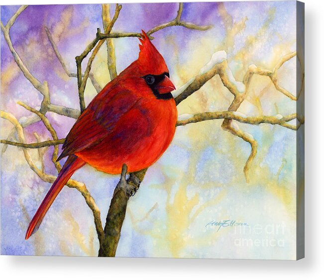 Cardinal Acrylic Print featuring the painting Northern Cardinal by Hailey E Herrera