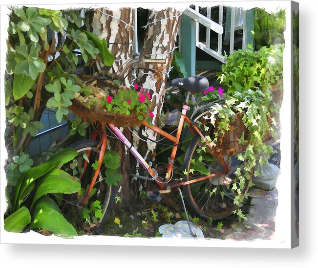 Bike Acrylic Print featuring the photograph Once a Nice Ride by Diane Wood