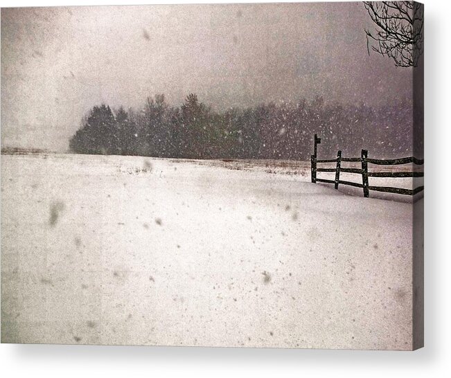 Winter Acrylic Print featuring the photograph Peaceful Chill by Abbie Loyd Kern