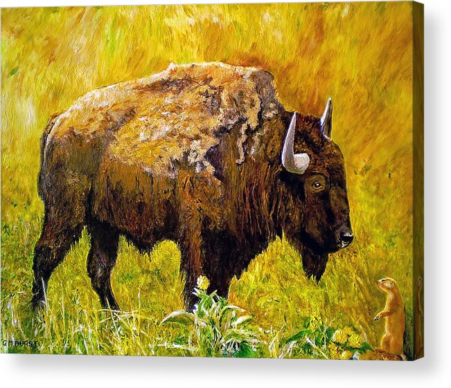 Buffalo Acrylic Print featuring the painting Prairie Companions by Michael Durst