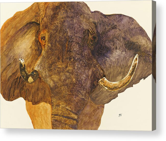 Elephant Charging Acrylic Print featuring the painting Protection by Listen To Your Horse