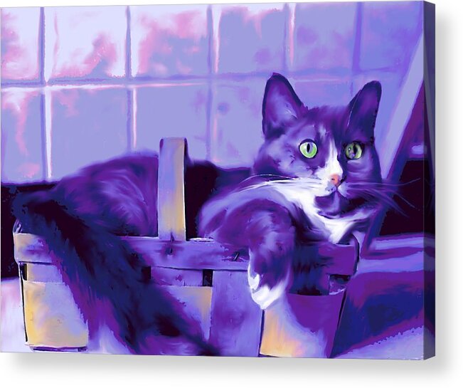 Cat Acrylic Print featuring the digital art Purple Basket Case by Mary Armstrong