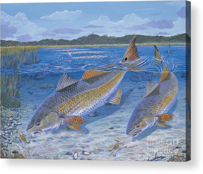 Redfish Acrylic Print featuring the painting Red Creek In0010 by Carey Chen