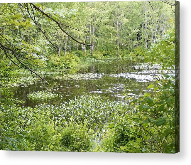 Photographs Acrylic Print featuring the photograph Remote by James McAdams