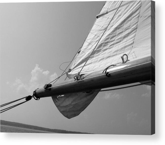 Sail Acrylic Print featuring the photograph Sailing by Tony Grider
