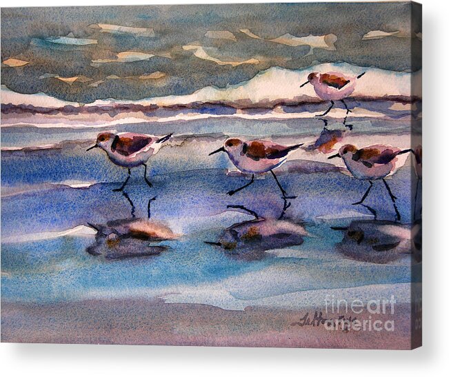 Fine Art Acrylic Print featuring the painting Sandpipers running in beach shade 3-10-15 by Julianne Felton