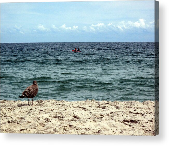 08.22.13_a 011 Acrylic Print featuring the photograph Seagull And Kayak by Dorin Adrian Berbier