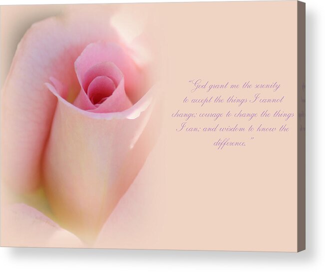 Roses Acrylic Print featuring the photograph Serenity Prayer by The Art Of Marilyn Ridoutt-Greene