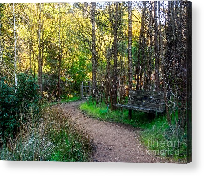 Kate Brown Acrylic Print featuring the photograph Shady Dell by Kate Brown