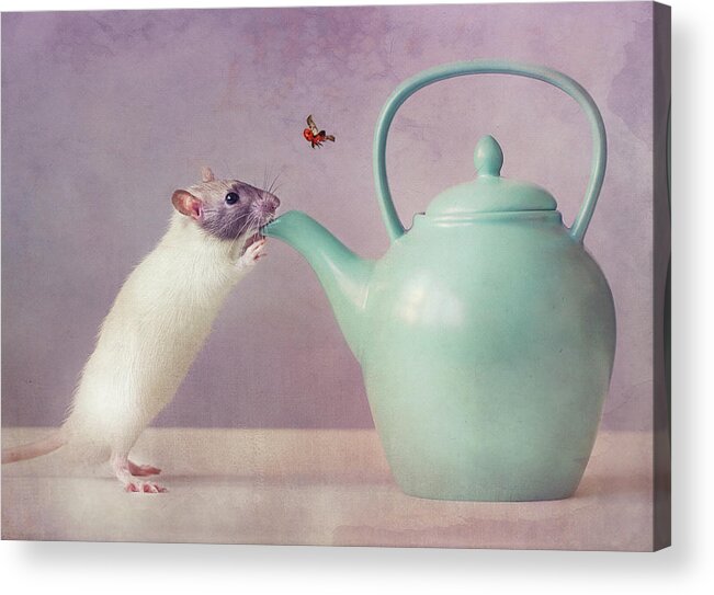 Rat Acrylic Print featuring the photograph Snoozy :) by Ellen Van Deelen