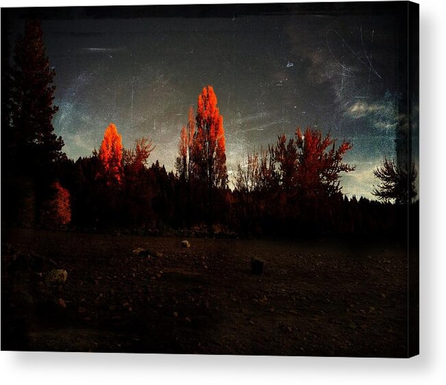 Landscape Acrylic Print featuring the photograph Soliloquy 9 by Tracy J Thomas