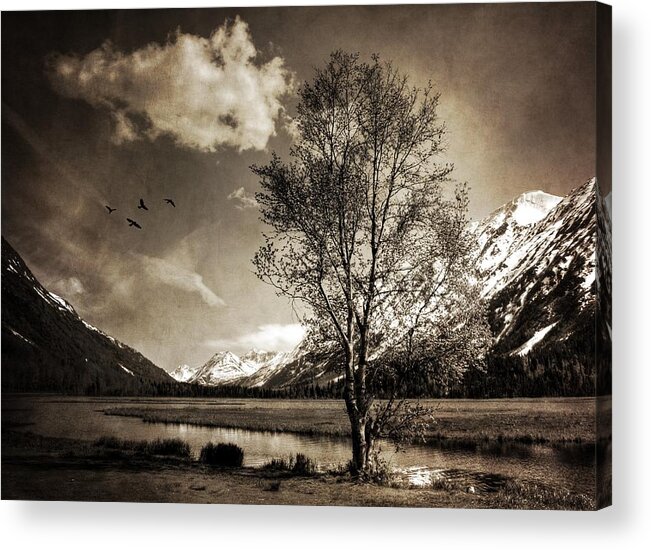 Alaska Acrylic Print featuring the photograph Some Things Never Change by Michele Cornelius