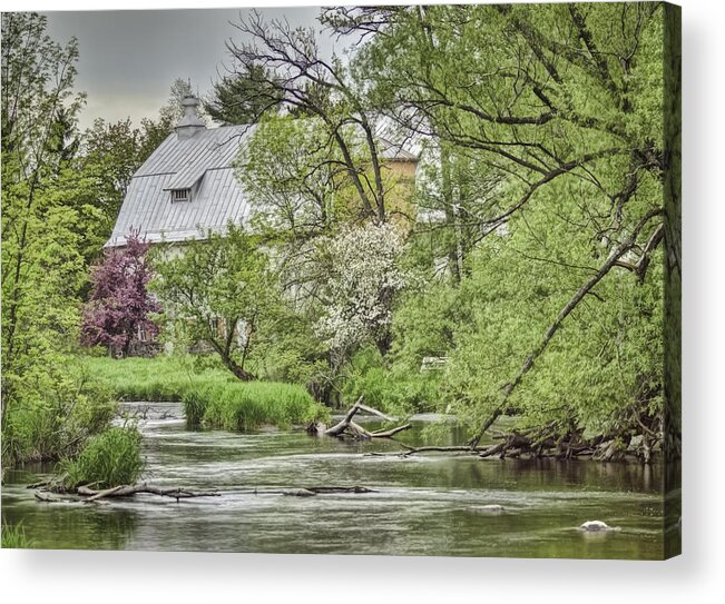 Rose Farm Acrylic Print featuring the photograph Spring Arrives At The Rose Farm by Thomas Young